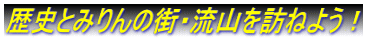 歴史とみりんの街・流山を訪ねよう！